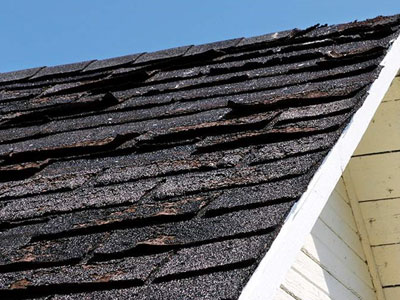 Roof Guard Images