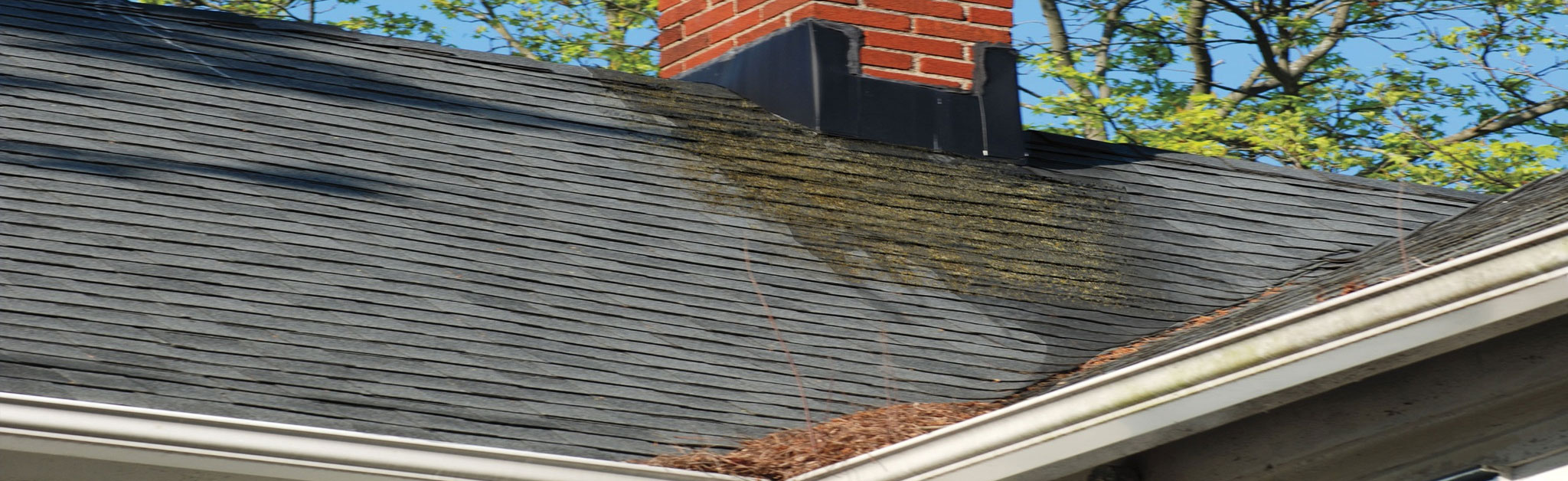 Roof Guard Images