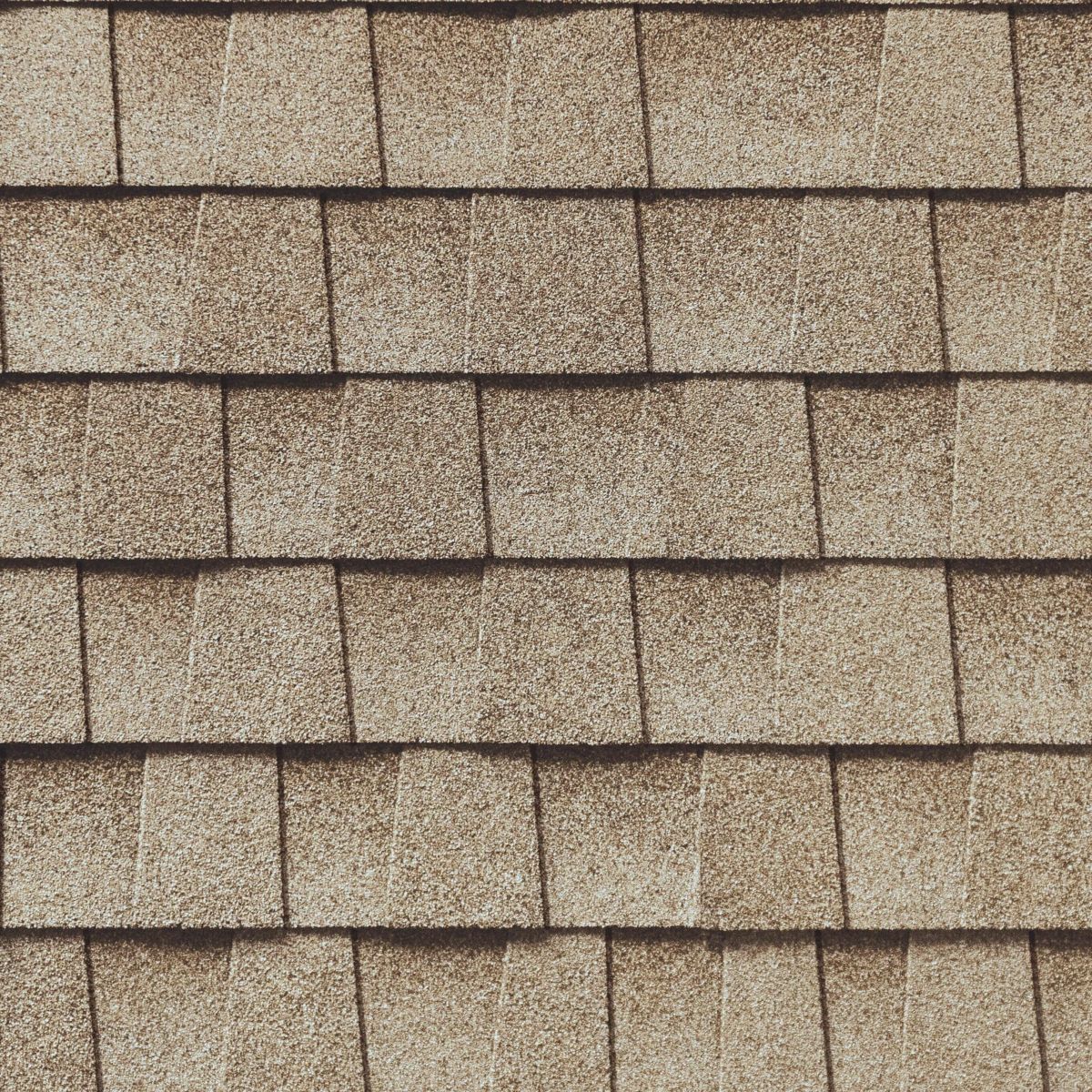 Roof Guard Images