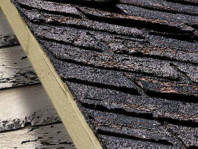 Roof Guard Images