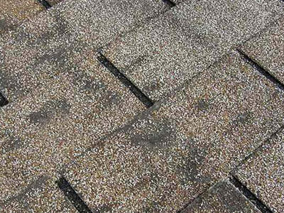 Roof Guard Images